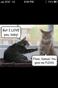 68672_579172045445586_15258187_n