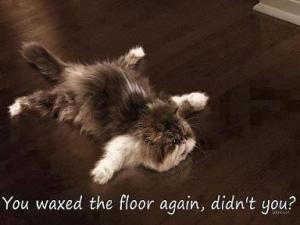 67356_573297316033059_2115056173_n