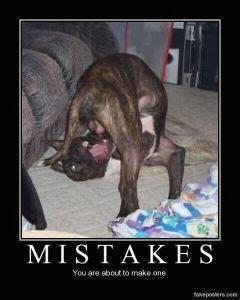 397042_353656491331214_336320923064771_1271658_924644913_n