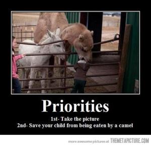 486229_484856748225539_1017562826_n