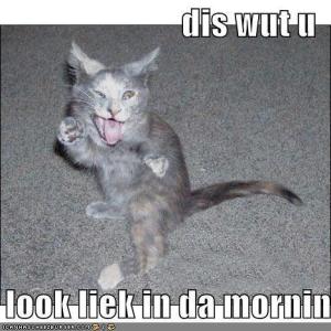 487502_347197138723516_922089129_n