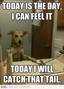 20201_484771581567389_272857371_n