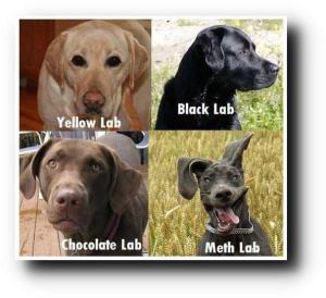 553921_419704514748459_873848398_n