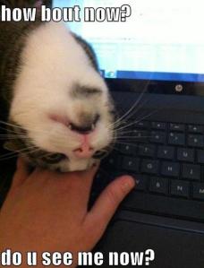 403946_355869874487061_693888892_n