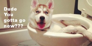 918D35B15DF38226BB11E7494E6F6_h316_w628_m5_cAFEbVcuV