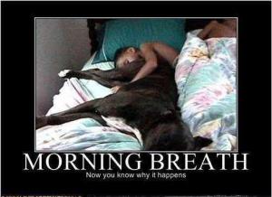 420887_352799568083573_336320923064771_1268919_995697430_n