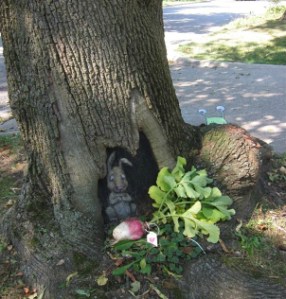 D72511CCCDACA41EAF9685851984F_h316_w628_m5_cbGYmZxPp