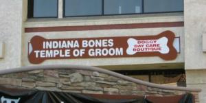 3948255FE110CF266E76050992C35_h316_w628_m5_cKnaFYhKV