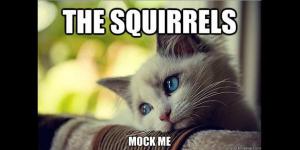 E9CF89F22E53B098ED4A452F507554_h316_w628_m5_crxjwDPRT