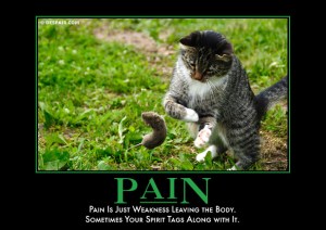 paindemotivator
