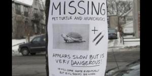 22A1FC0CCA6FBB01678F87FE74C8_h316_w628_m5_cYNyiORqm