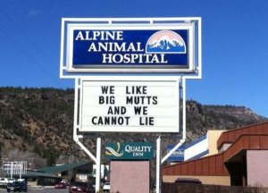 34f20108-27d9-4813-89d5-ba116df82dd2