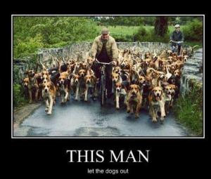 391469_419548011430776_556535597_n