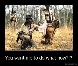 292953_10152095899450254_562995408_n