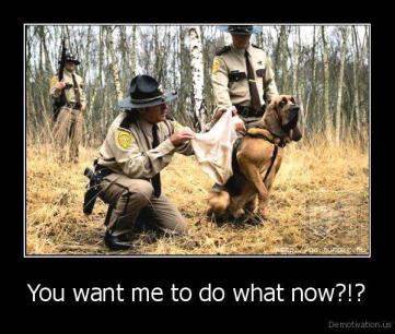 292953_10152095899450254_562995408_n