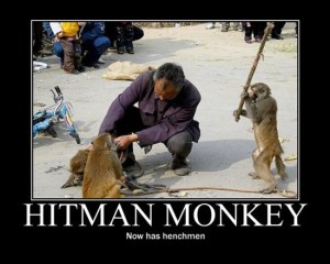 hitman-monkey