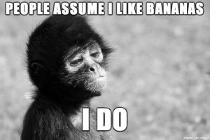 great-photos-thechive-24