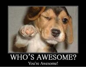 funny_picdump_439_640_03