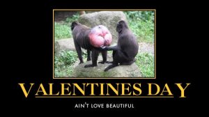single-on-valentines-day-quotes-funny-i5