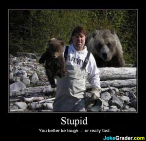 JokeGrader-com-FunnyCaptions1