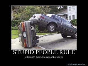 633620163389800242-stupidpeoplerule