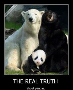 funny-demotivational-posters_14