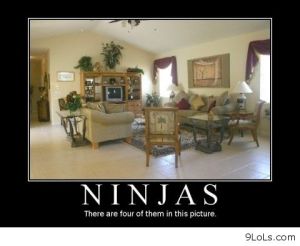 funny-quotes-funny-animals-funny-easter-funny-conversations-funny-sayings-Favim.com-678425