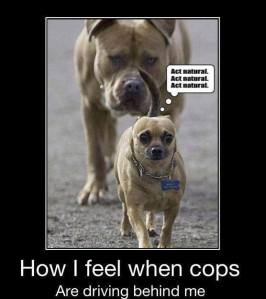 1175755_397246667064393_739195936_n