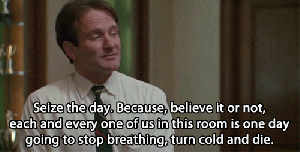 tumblr_mx7fq7SQG21r12qv7o1_500