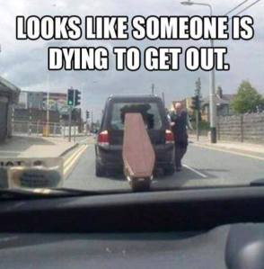 1239753_468842509903081_1586987461_n