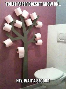 984205_615780361859599_2291271294093065994_n