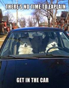 1972540_615462465224722_1153309816924022473_n