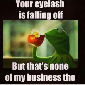 funny-kermit-memes-13-550x550