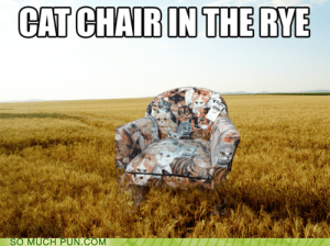 tumblr_lv792mXlNm1qgn5kno1_500