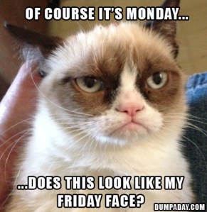 of-course-its-monday-does-this-look-like-my-friday-face-grumpy-cat