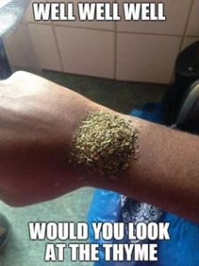 terribly-good-visual-food-puns-28