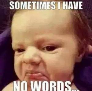 10881482_1027817907245051_2984931060548607166_n