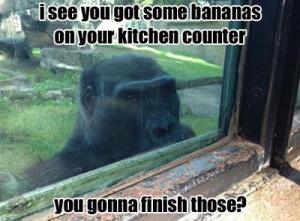 10622731_615895328514769_8333690282348332326_n