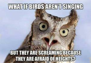 1175382_589869171051142_1409291952_n