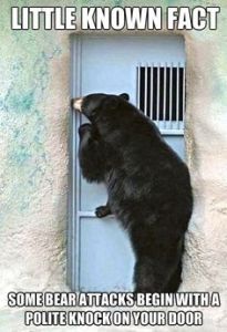 3550ac4be0d119173134ca8e7dddff2e