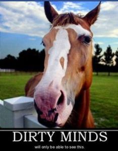 a2cd5642d2d2186df51274cdb19bcdda