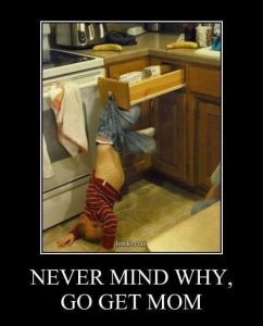 2997bf42946217c0a41c4ac8a8ab449e