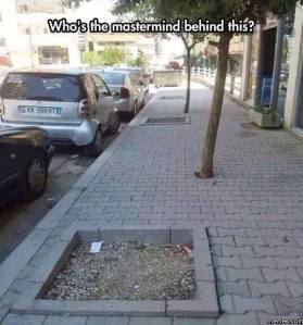 11227593_10153493722781489_5886541245607955574_n