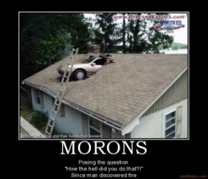morons-hilarious-funny-car-reverse-roof-how-the-hell-moron-m-demotivational-poster-1220425446