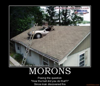 morons-hilarious-funny-car-reverse-roof-how-the-hell-moron-m-demotivational-poster-1220425446