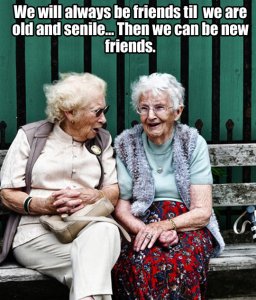 funny-old-ladies-friends-park-sitting
