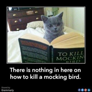 43053226c50c4a65e194c3b7b61a953b