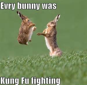 thumb-so-funny-stuff-2524