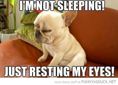 10615637_661475943936653_4410538518224726231_n