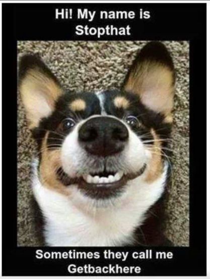 ab0ff7c156eb99ba88ae8bbdbaf11031